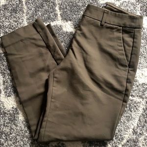 Express Columnist Ankle Dress Pant